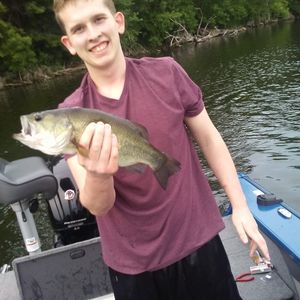 Meet your Posher, Damon